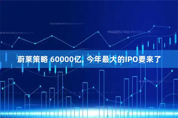 蔚莱策略 60000亿, 今年最大的IPO要来了