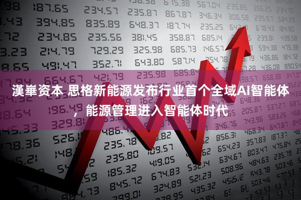 漢崋资本 思格新能源发布行业首个全域AI智能体，能源管理进入智能体时代
