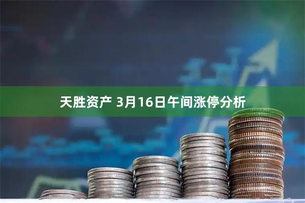 天胜资产 3月16日午间涨停分析